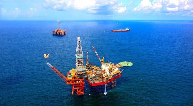Government focuses on divestment in oil and gas sector hinh anh 1