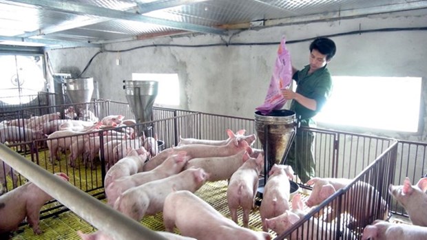 CP TPP to bring both opportunities, challenges to breeding sector hinh anh 1