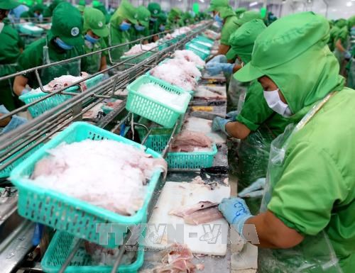 US antidumping duties on Vietnam’s frozen fish fillets unfair: Ministry hinh anh 1