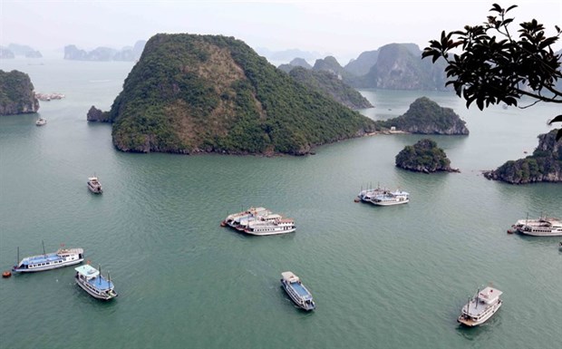 Ha Long Bay’s water under threats hinh anh 1