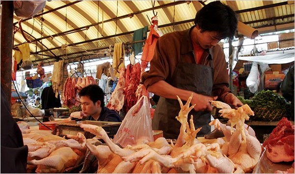 China allows import of Thai chicken meat hinh anh 1