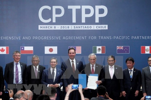 Japan pioneers in promoting ratification of CPTPP hinh anh 1