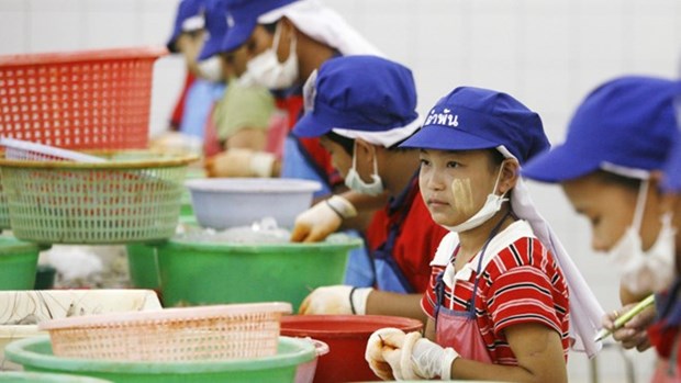 Thailand tightens regulations on illegal foreign workers hinh anh 1
