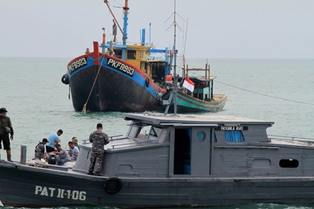Indonesia seizes 26 illegal fishing boats since January hinh anh 1