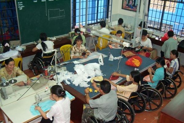 Businesses run by disabled people seek ways to grow hinh anh 1