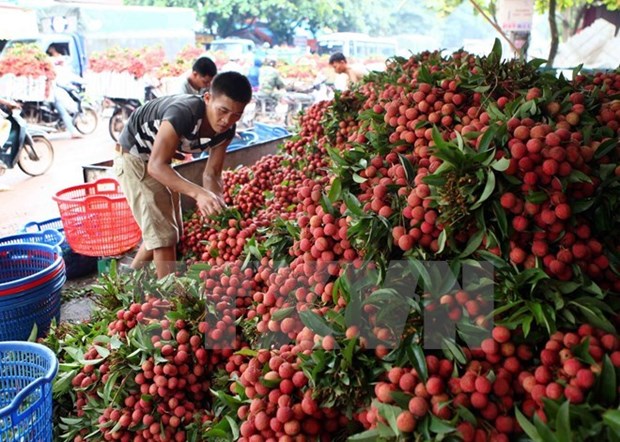 Foreign goods puts pressure on domestic businesses hinh anh 1