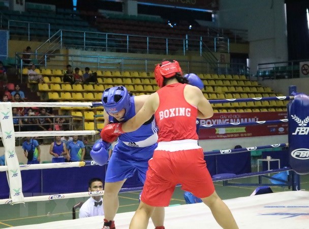 Vietnam aims for 10 tickets to Youth Olympic Games 2018 hinh anh 1