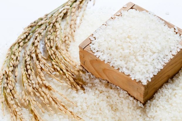 Agriculture ministry issues regulations on ’VIETNAM RICE’ national brand hinh anh 1