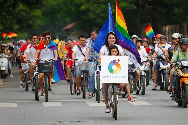 Rainbow flag movements make inroads in Vietnam hinh anh 3