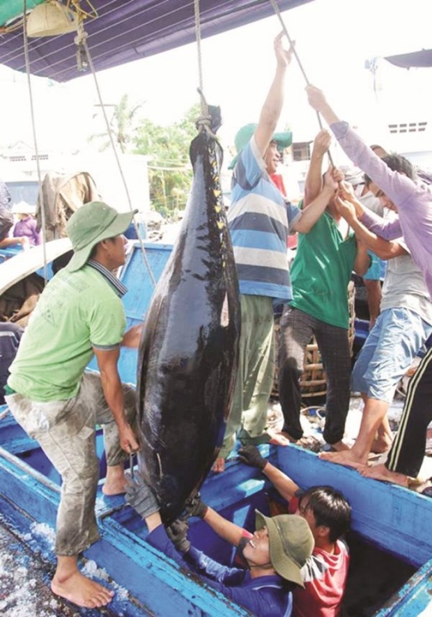 Vietnam acts to meet requirements on IUU control hinh anh 1