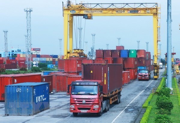 New decree expected to halt temporary import violations hinh anh 1