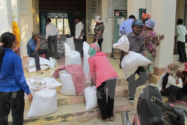 Almost 536 tonnes of rice offered to northern Ha Giang province hinh anh 1