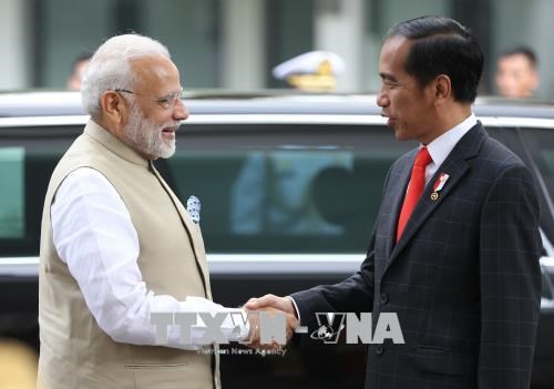 Indonesia, India upgrade ties to comprehensive strategic partnership hinh anh 1