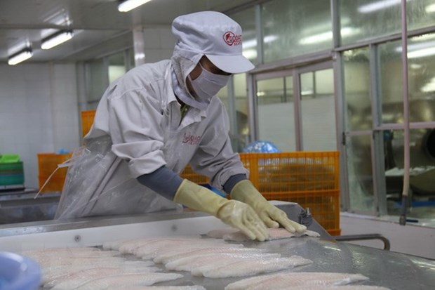 Aquatic exports rise by 10 percent in five months hinh anh 1