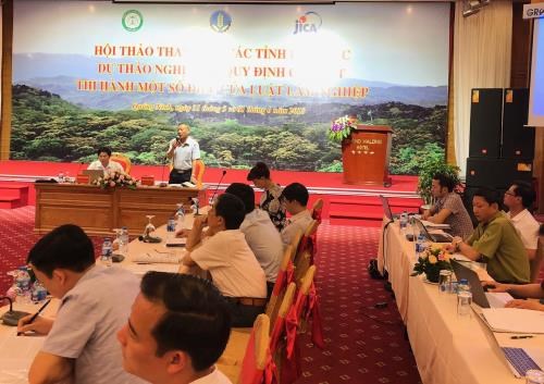Adjustments suggested to draft decree on forest law enforcement hinh anh 1