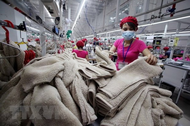 Vietnamese garment firms expect to navigate Australia hinh anh 1