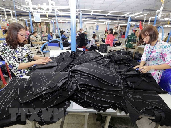 Vietnamese garment sector maintains growth in traditional markets hinh anh 1