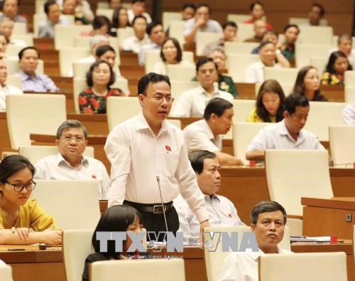 Quality of NA Q&A session improved: voters hinh anh 1