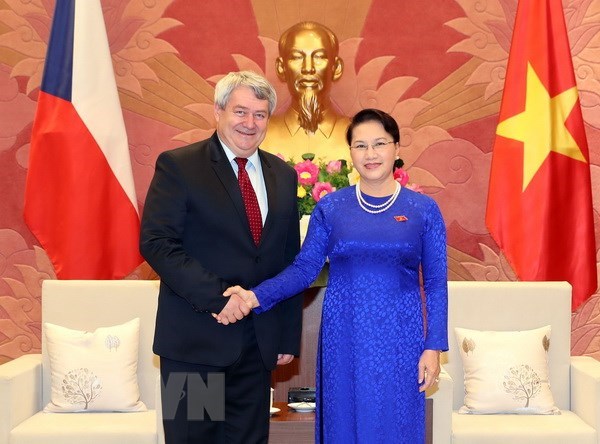NA Chairwoman hosts Czech Republic parliament leader hinh anh 1