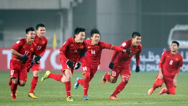 Vietnam to train in Korea for AFF Cup hinh anh 1