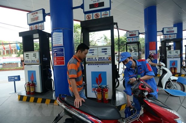 Vietnam spends 3.6 billion USD on petrol imports hinh anh 1