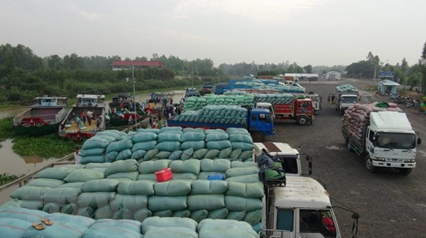 Agricultural product exports via Lao Cai border gate surge hinh anh 1