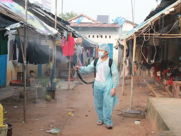 Can Tho city reels from dengue outbreak hinh anh 1