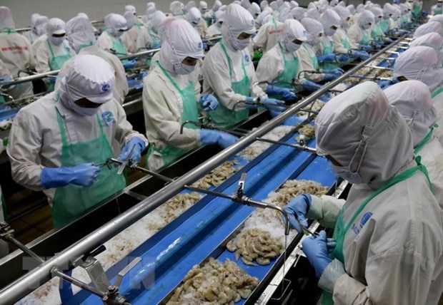 Seafood processing firms lack materials hinh anh 1