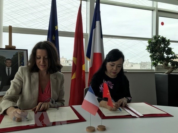 Vietnam, France look to foster health link hinh anh 1
