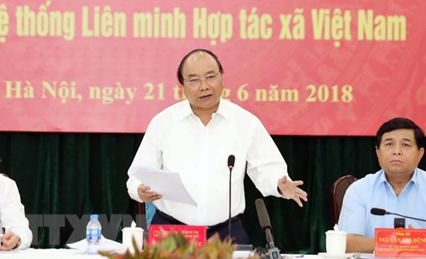 PM directs strengthening cooperatives at all levels hinh anh 1