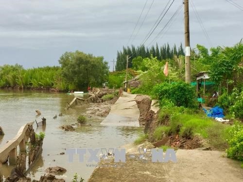 Ca Mau: Measures to mitigate damages from natural disasters hinh anh 1