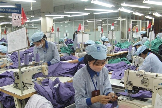 Textiles, garment exports to major market grow hinh anh 1