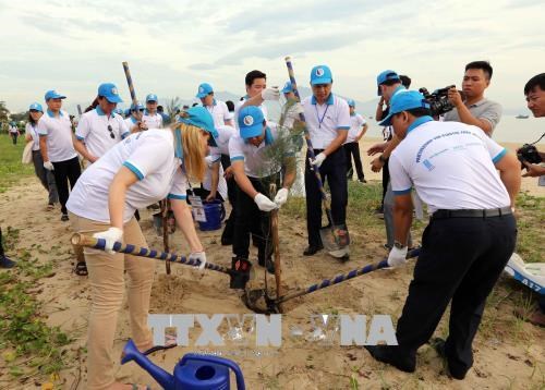 UN Habitat willing to work with Vietnam in handling plastic waste hinh anh 1