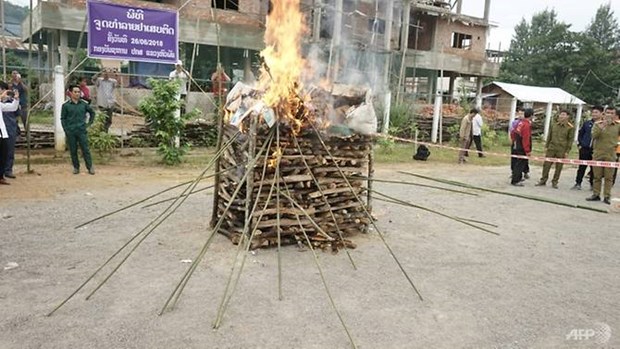 Drug-burning ceremonies mark World Drug Day in Southeast Asian hinh anh 1