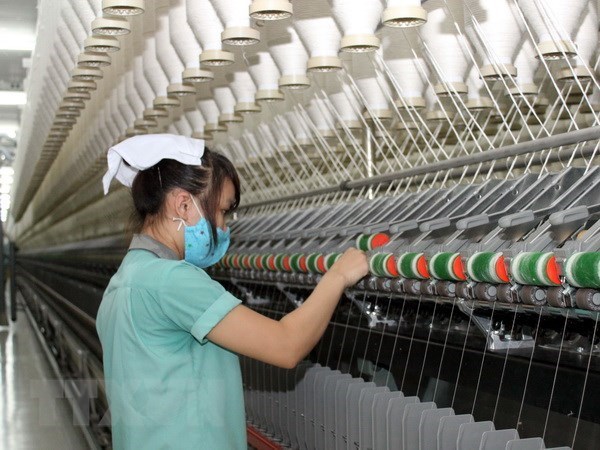Textile industry expects high growth rate hinh anh 1