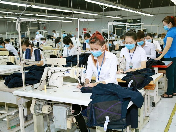 Garment-textile sector raises export target to 35 billion USD hinh anh 1