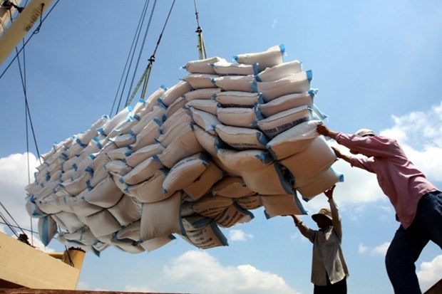 Rice export upbeat in first half hinh anh 1