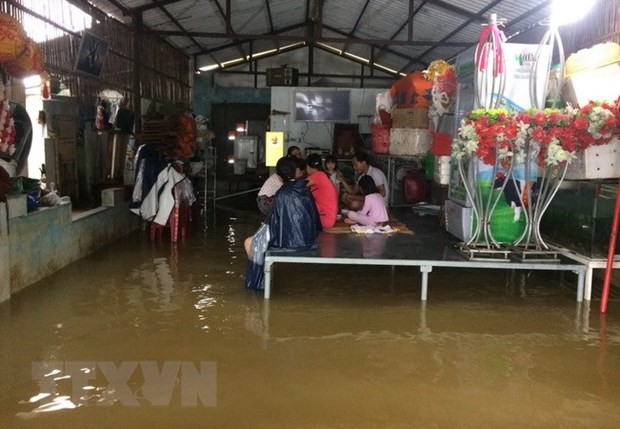 Minister urges synchronous measures to deal with natural disasters hinh anh 1