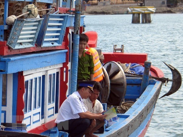 Vietnam vows to work towards sustainable fishery hinh anh 1