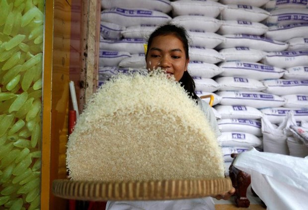 Cambodia exports over 271,000 tonnes of rice in first half of 2018 hinh anh 1
