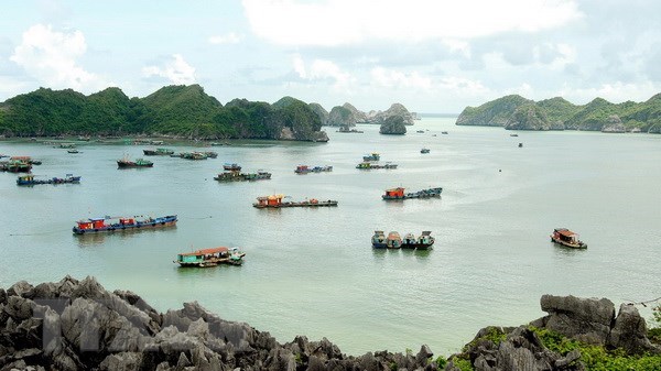 Hai Phong: Tourist arrivals surge 19.9 percent in seven months hinh anh 1