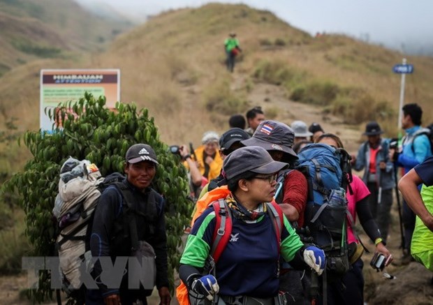 Indonesia: Over 500 climbers rescued after earthquake hinh anh 1