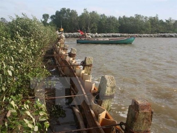 Nearly 2.6 million USD for sea embankment projects in Ca Mau hinh anh 1
