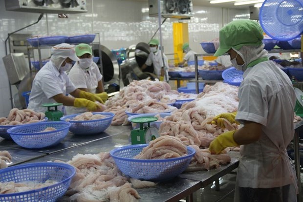 An Giang’s export value hits 455.9 million USD in seven months hinh anh 1