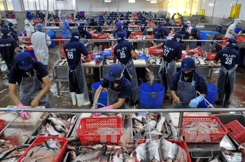 Seafood exports fetch 4.63 billion USD in seven months hinh anh 1