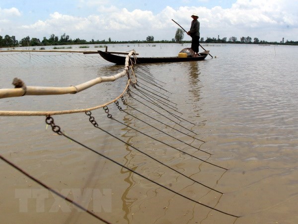 Mekong Delta region warned about serious flooding hinh anh 1