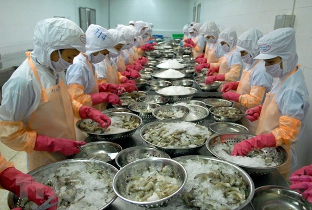 Vietnam’s shrimp exports face technical barriers in Korea hinh anh 1