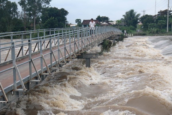 Mekong River’s water levels rising hinh anh 1