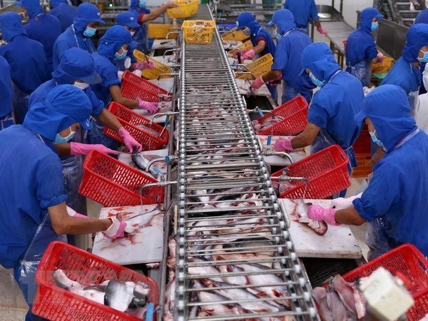 Tra fish exports to US enjoy strong surge hinh anh 1