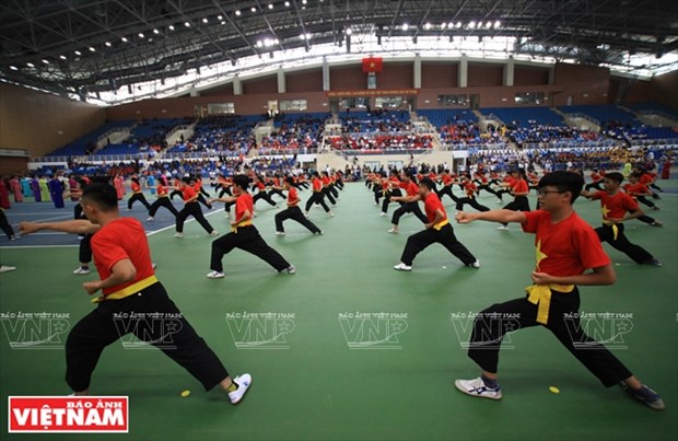 Second world championship of Vietnamese martial arts opens hinh anh 1